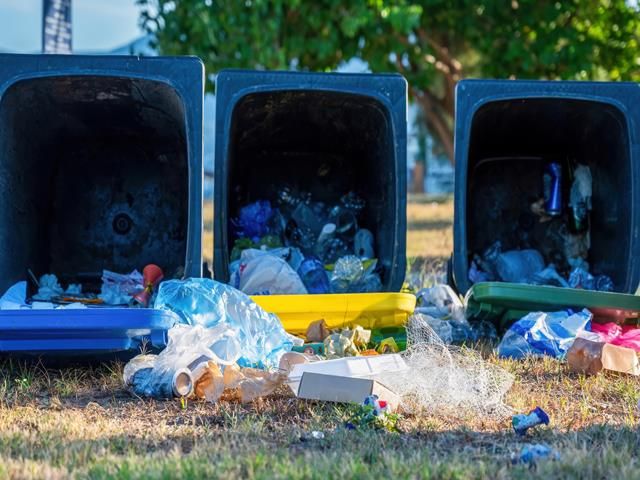 images/rubbish-removal/slider/rubbish-removal (4)-kireth-ai.jpeg